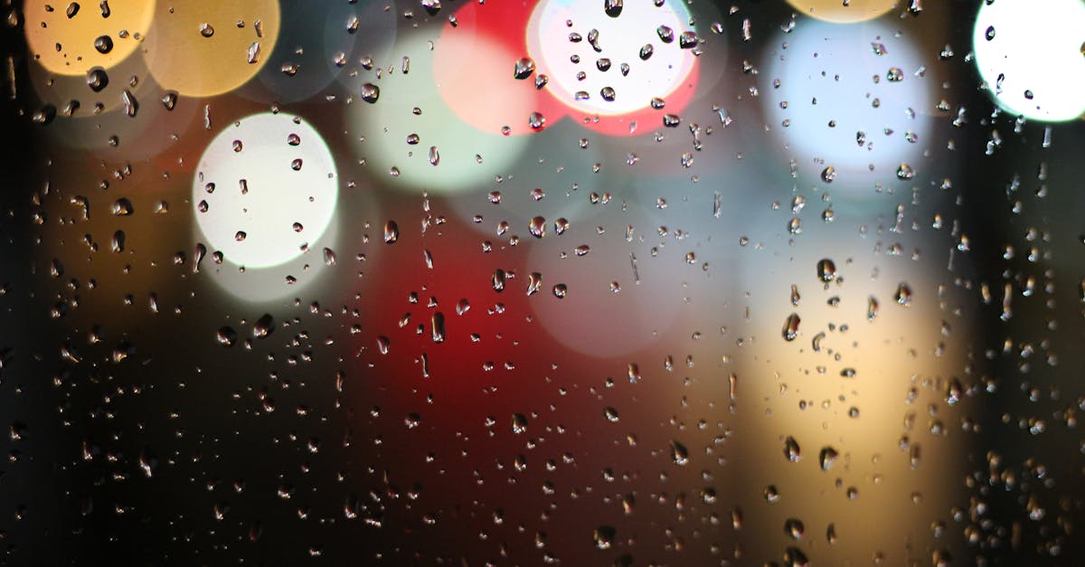 découvrez les techniques et effets du flou dans la photographie et le design graphique. apprenez à créer des images captivantes en maîtrisant l'art du flou pour améliorer vos compositions visuelles.