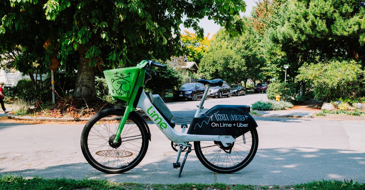 louez un vélo électrique pour découvrir la ville de manière écologique et agréable ! idéal pour explorer facilement les pistes cyclables et profiter de la nature. réservez dès aujourd'hui votre expérience de mobilité durable.