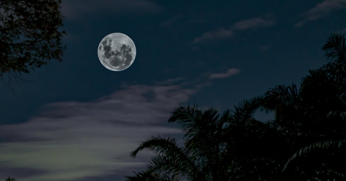 découvrez la magie de la pleine lune, un phénomène céleste captivant qui illumine nos nuits. explorez son impact sur la nature, ses légendes mystiques et les rituels qui l'entourent.