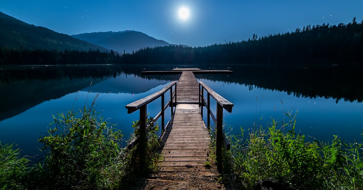 découvrez la magie de la pleine lune, son éclat captivant et son impact sur la nature et nos émotions. éveillez votre curiosité avec des informations fascinantes sur cet astre mystérieux et ses traditions à travers le monde.