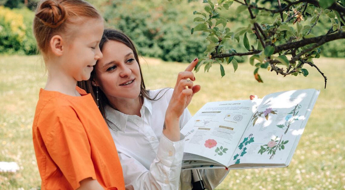 Comment utiliser PlantNet pour identifier vos plantes simplement