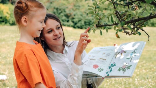 Comment utiliser PlantNet pour identifier vos plantes simplement