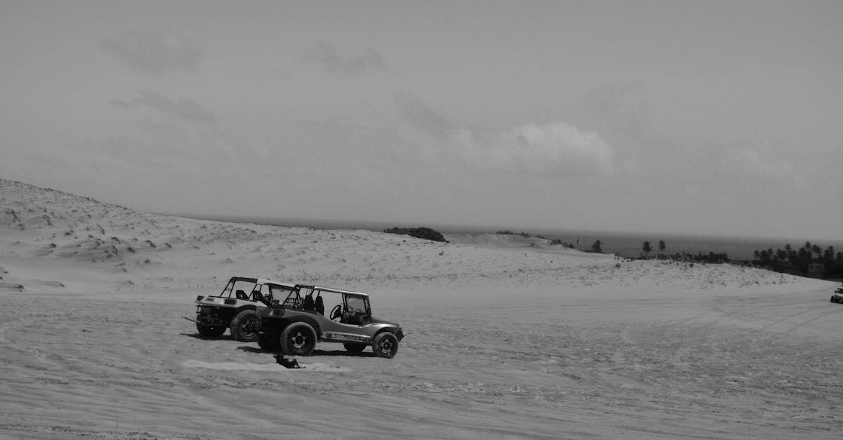 découvrez l'excitation des beach buggies, ces véhicules tout-terrain conçus pour conquérir le sable et offrir des sensations fortes lors de vos sorties en bord de mer. adrenaline et liberté vous attendent !