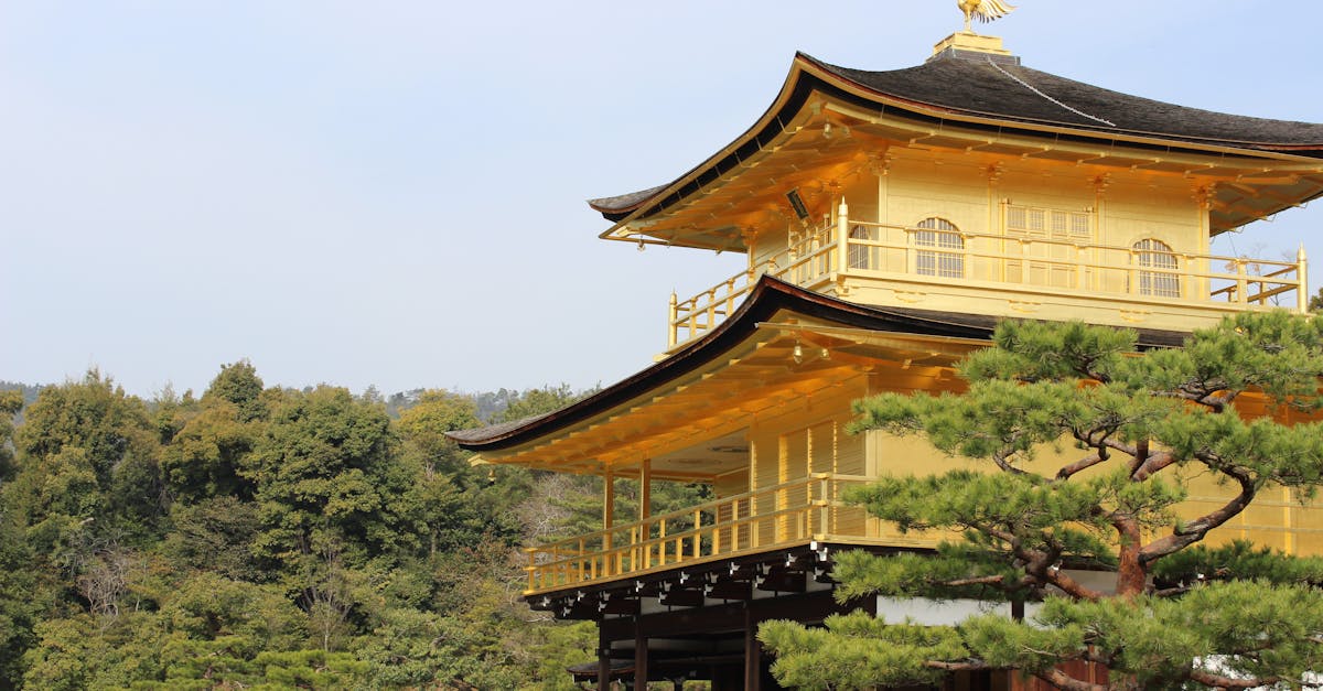 découvrez l'univers fascinant des shoguns, ces puissants chefs militaires du japon féodal. plongez dans leur histoire, leurs stratégies militaires et leur influence sur la culture japonaise.