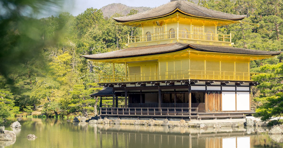découvrez l'univers fascinant des shoguns, ces puissants seigneurs militaires du japon féodal. plongez dans leur histoire, leur culture et leur influence sur le développement du pays au fil des siècles.