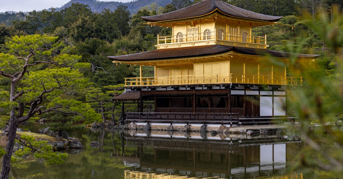 découvrez l'univers fascinant des shoguns, ces chefs militaires japonais qui ont marqué l'histoire du pays par leur pouvoir et leur influence. plongez dans la culture, les stratégies militaires et l'héritage des shoguns, symboles de la féodalité japonaise.