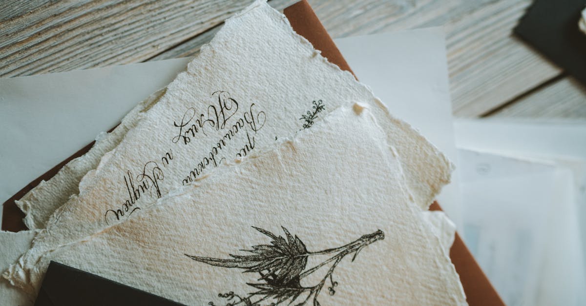 découvrez l'univers fascinant des timbres : collection, histoire et passion pour la philatélie. explorez des timbres du monde entier et apprenez à enrichir votre collection.